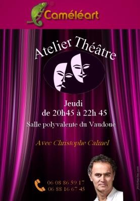 affiche-cameleart-2-1.jpg
