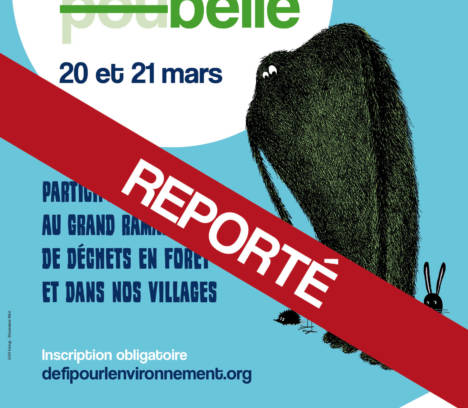 Report de la journée “forêt belle”