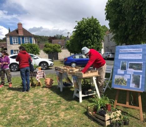 Une première au Vaudoué : La trocante du jardin