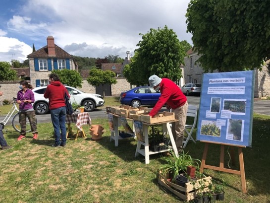 Une première au Vaudoué : La trocante du jardin