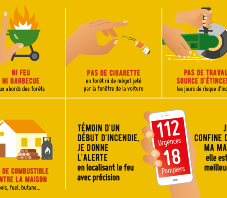 CANICULE – Risque de feu de forêt élevé et mesures d’interdiction