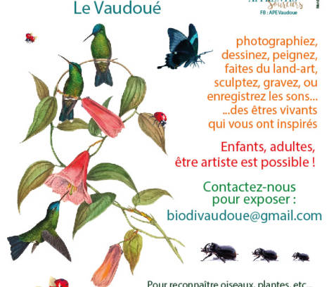 Journée biodiversité le samedi 19 novembre : Ateliers-exposition et film