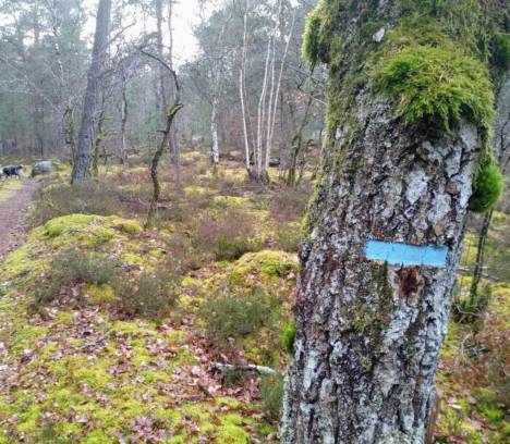 Le topoguide des circuits découverte du Vaudoué et alentours vient de paraître !