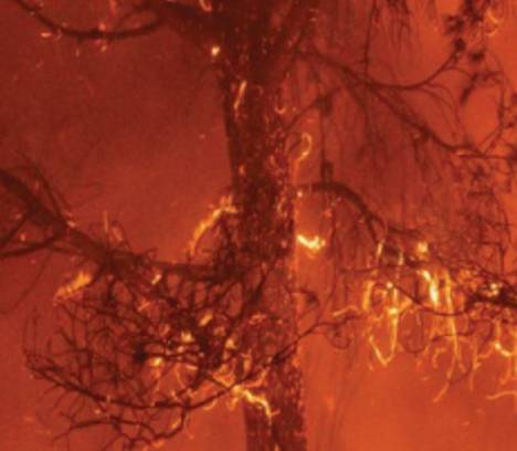 Incendie au Vaudoué : 80% des feux se déclenchent à moins de 50 mètres des habitations.