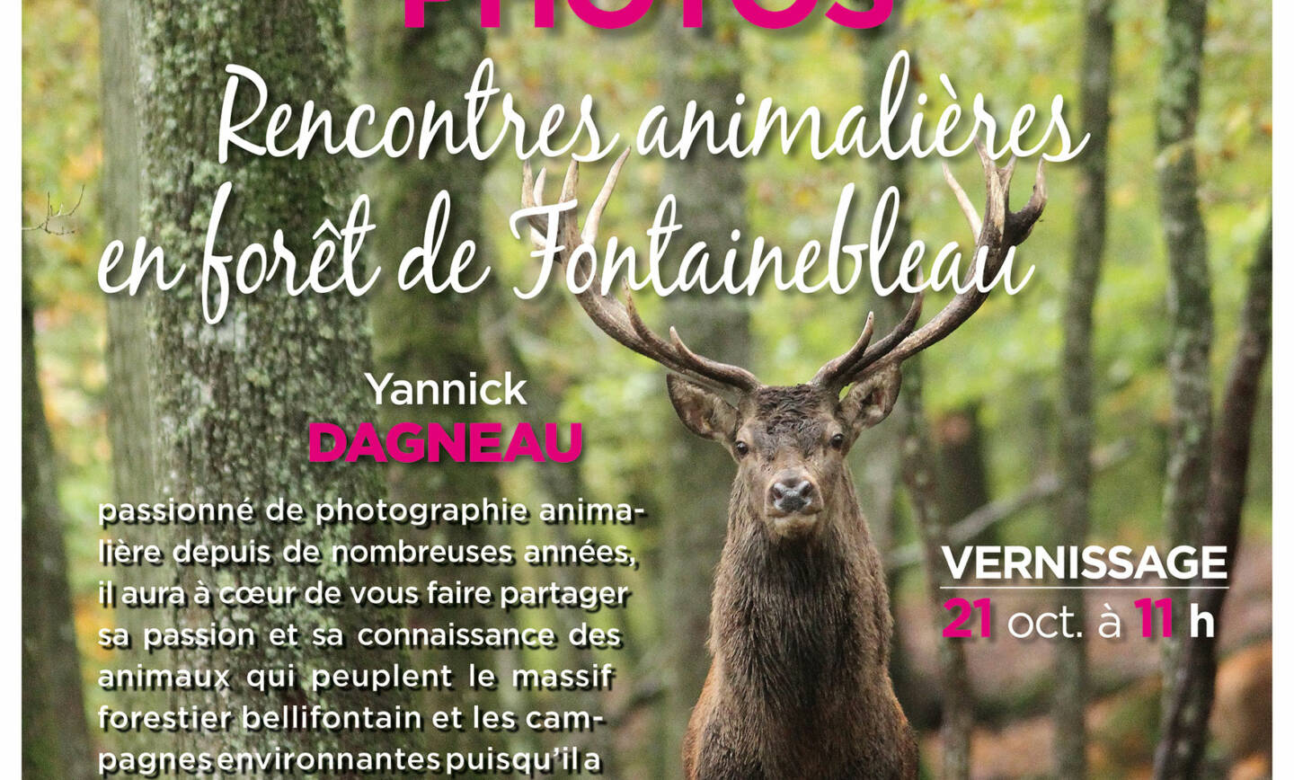 Grande exposition photos ‘Rencontres animalières en forêt de Fontainebleau’