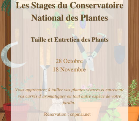 Le Conservatoire National des Plantes à Milly organise un stage ‘taille et entretien des plants’