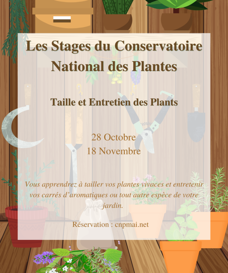 Le Conservatoire National des Plantes à Milly organise un stage ‘taille et entretien des plants’