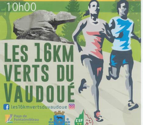 Franc succès des 16 kms verts du Vaudoué du dimanche 17 mars