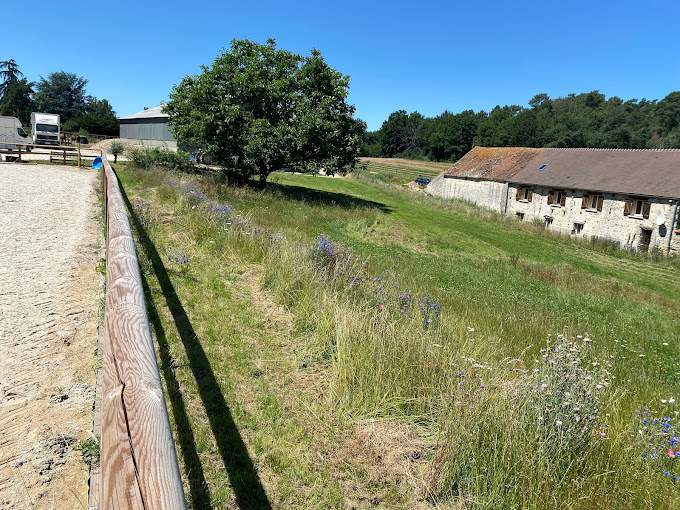 Haras-de-Vezu.jpeg