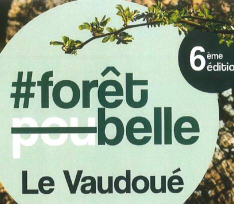 Opération Forêt Belle sur Le Vaudoué le 23 mars