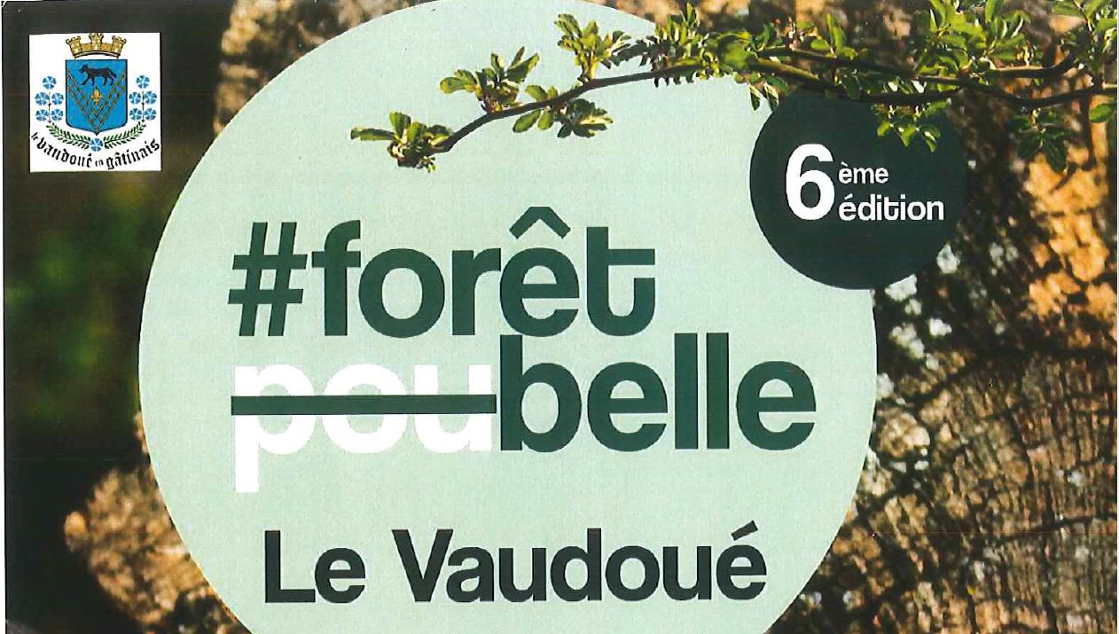 Opération Forêt Belle sur Le Vaudoué le 23 mars