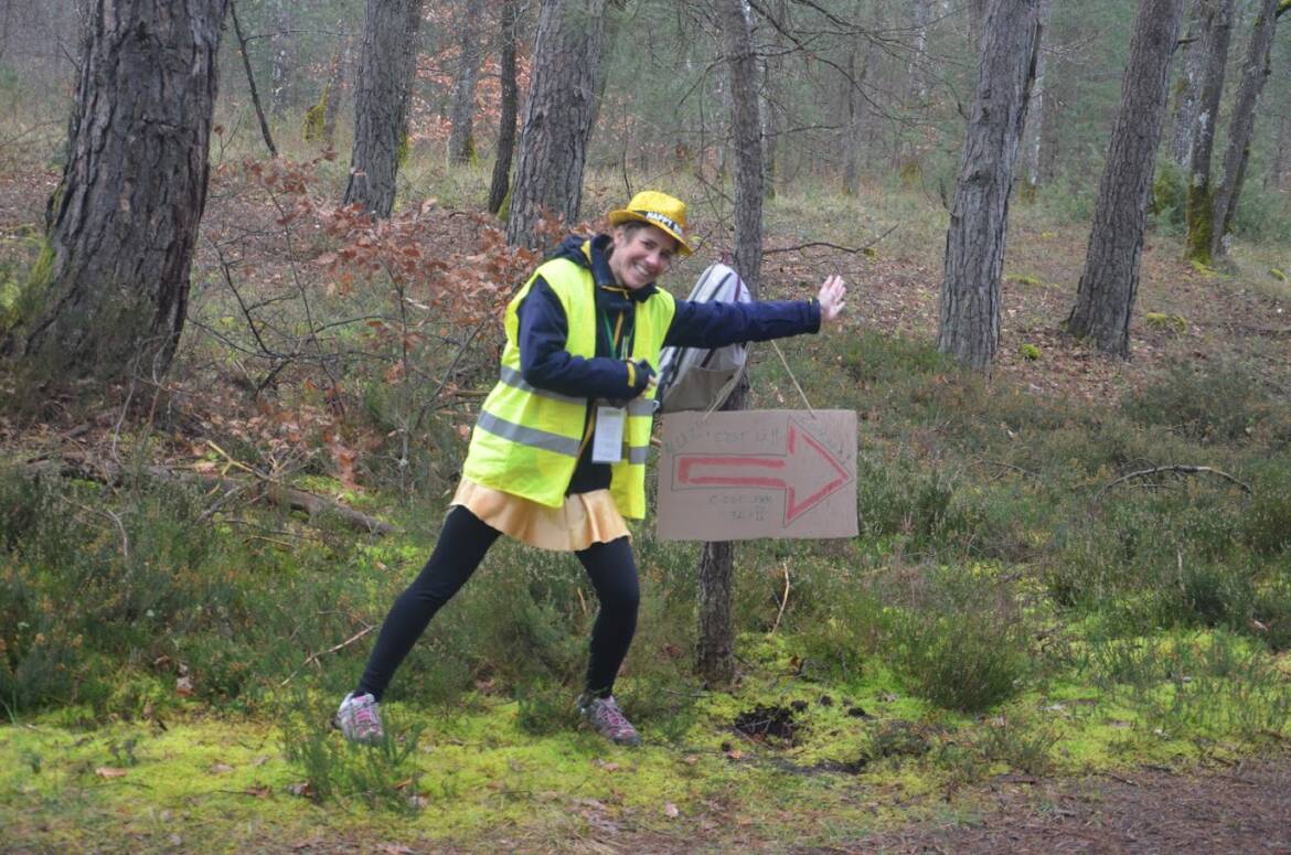 signaleuse.jpg