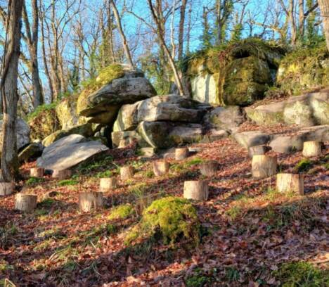 Le Petit Bois pédagogique des Terres Rouges : la presse en parle !