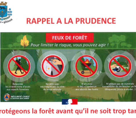 Feux de forêt : rappel à la prudence !