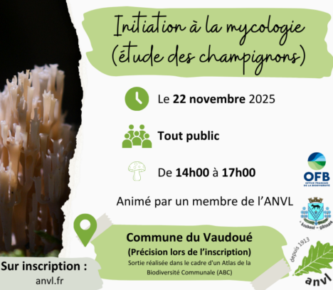 Prochaine sortie dans le cadre de l’ABC – Initiation à la mycologie – Animateur ANVL