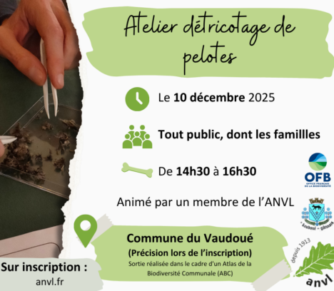 ABC du Vaudoué : un atelier « Détricotage de pelote » est organisé le mercredi 10 décembre de 14h30 à 16h30/17h
