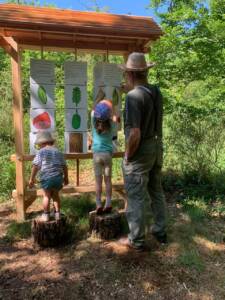 Quizz sur les arbres conçu par l'école du Vaudoué et fabriqué en bois par François, élu municipal.