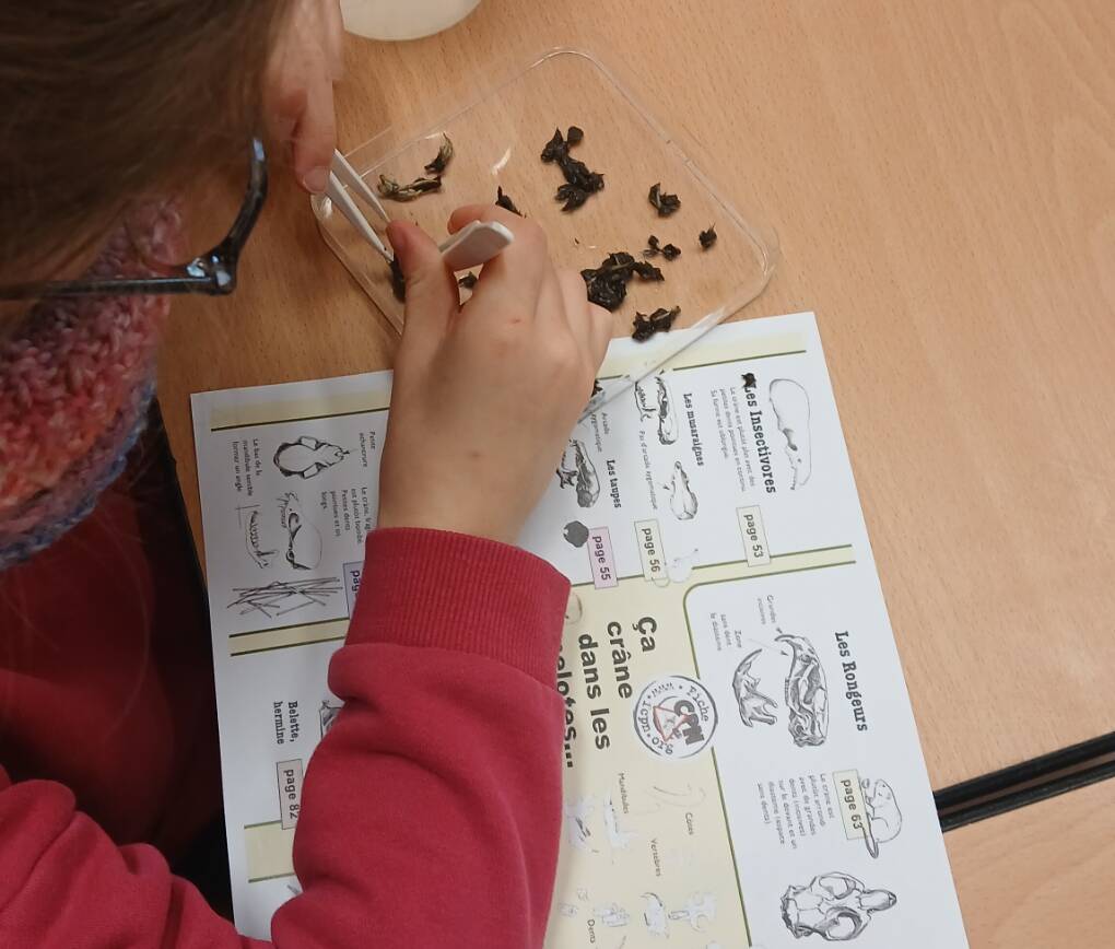 ABC du Vaudoué – succés de l’atelier du 10 décembre 2025 animé par l’ANVL