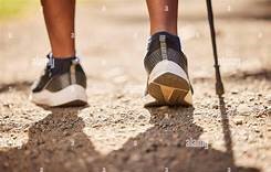 Circuit de randonnée dans la vallée de Boissy-aux-Cailles au départ du Vaudoué