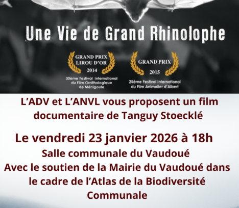 Une Vie de Grand Rhinolophe