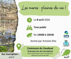 Sorties sur les mares du Vaudoué