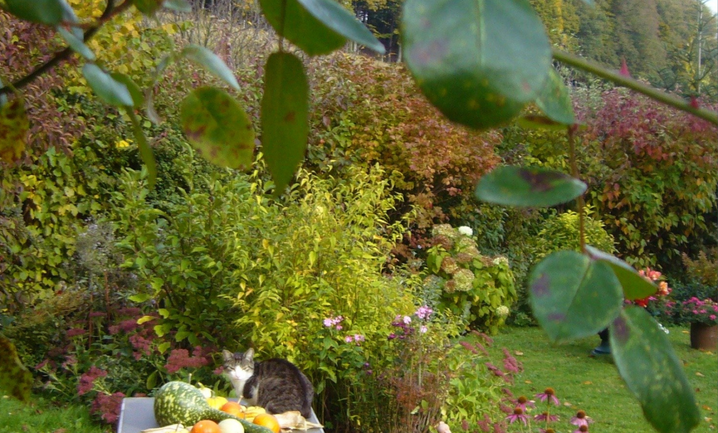 La Trocante du Jardin 2026