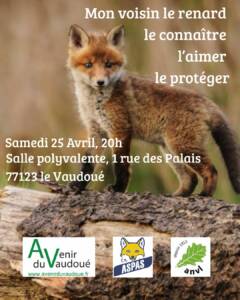 Mon voisin le renard