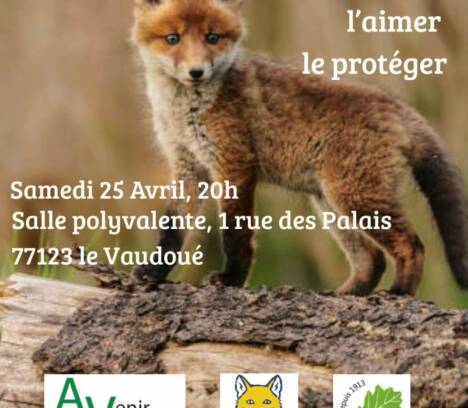 Brico Café et Conférence Débat – Le Vaudoué reçoit