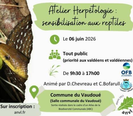Atelier Herpétologie dans le cadre de l’ABC le samedi 6 juin de 9h30 à 17h dans la salle polyvalente