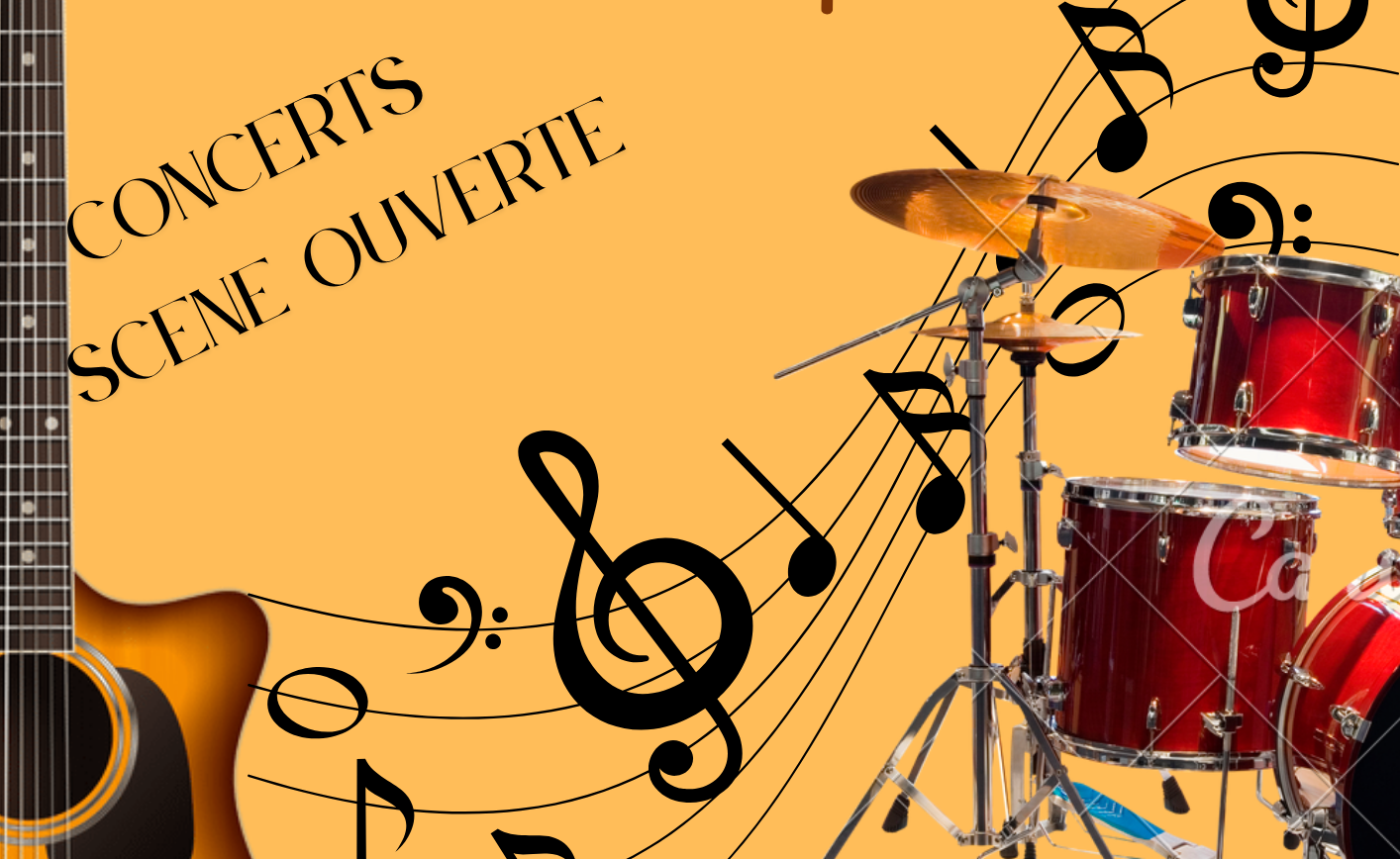 Fête de la musique au Vaudoué