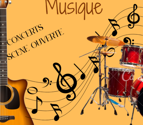 Fête de la musique au Vaudoué