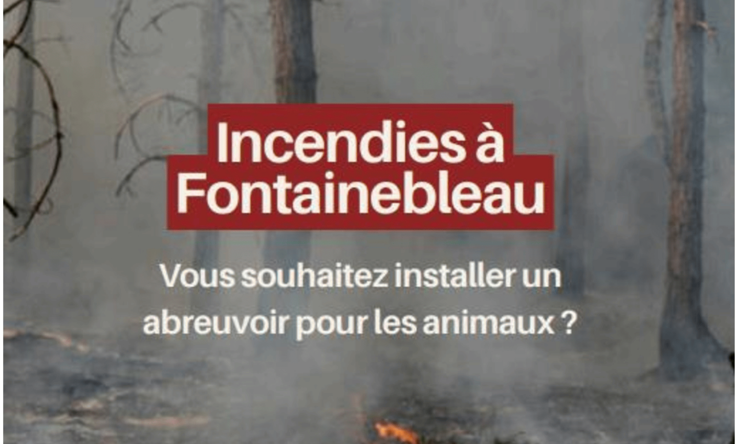 Incendies : vous souhaitez installer un abreuvoir pour les animaux ?