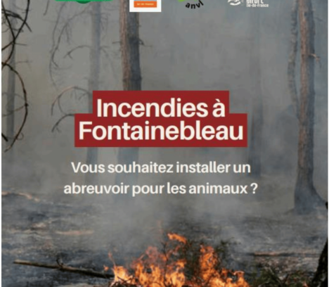 Incendies : vous souhaitez installer un abreuvoir pour les animaux ?