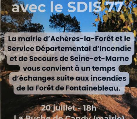 INCENDIES – Temps d&rsquo;échanges avec le SDIS 77, la gendarmerie et l&rsquo;ONF