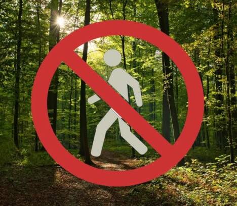Interdiction fréquentation forêt