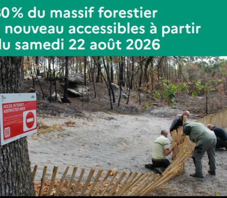 Réouverture partielle du massif de Fontainebleau