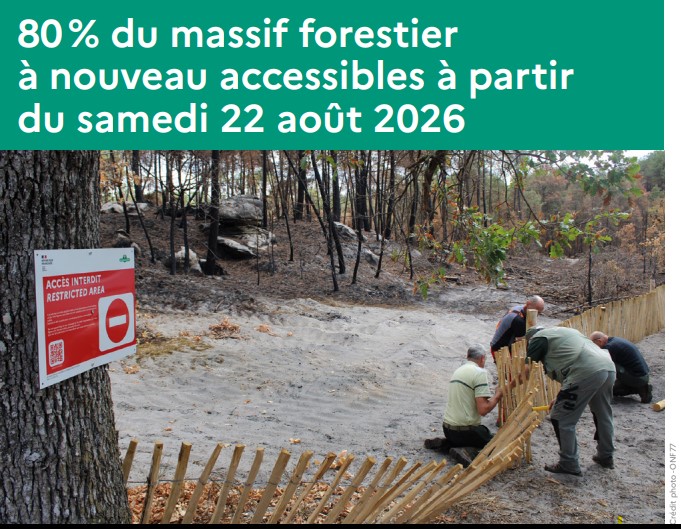 Réouverture partielle du massif de Fontainebleau
