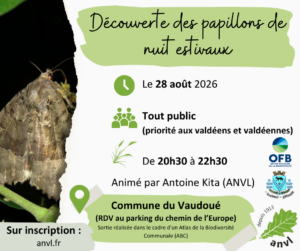 ABC Sortie de la rentrée Papillons de nuit