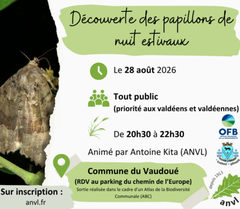 Découverte des papillons de nuit estivaux – Dans le cadre de l’ABC
